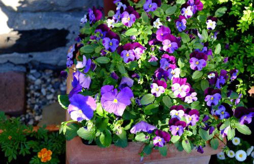 altes forsthaus schotten - Photo 6