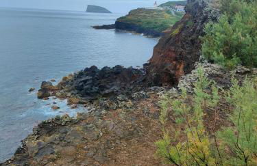 Alojamento dos cagarros - Foto 37