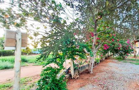 Chalé Madeira Nobres Asa Própria - Foto 10