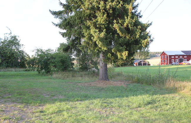 Happy Hudiksvall - Photo 68