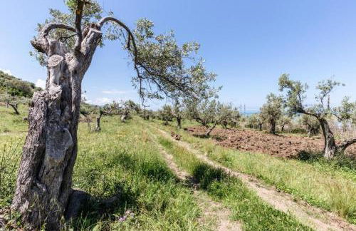 Villa Lorenza Private beach - Foto 13