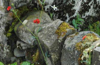 Riverside House - Foto 46