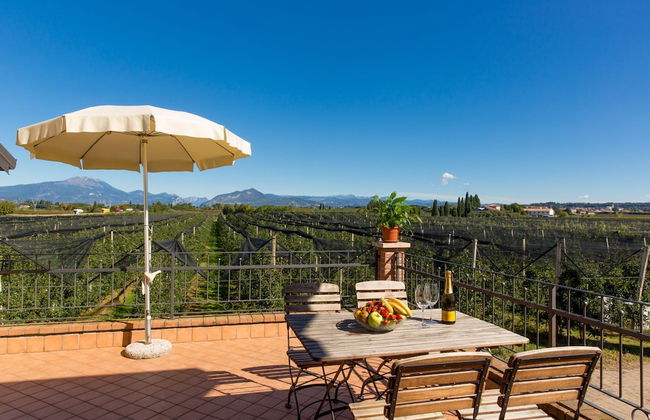 Agriturismo La Molinalda - Foto 53