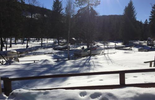 Titisee Haus Vogelnest - Photo 24