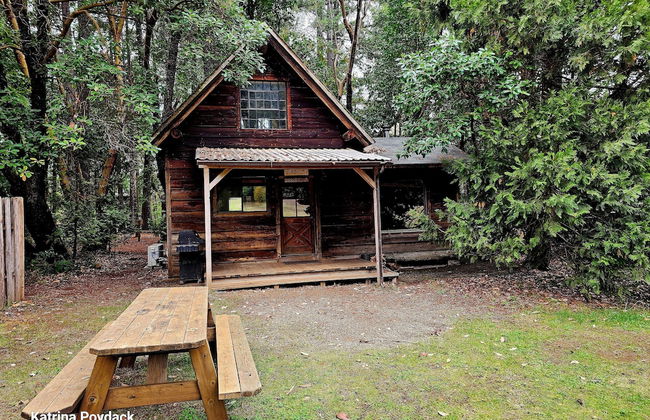 Out 'N' About Treehouse Treesort - Foto 55