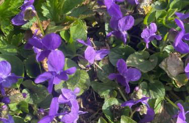 Ferienwohnung Aussicht, Monheimer Alb, Altmühltal - Foto 42