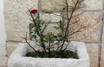 Villa Rustica Dalmatia - Photo 38