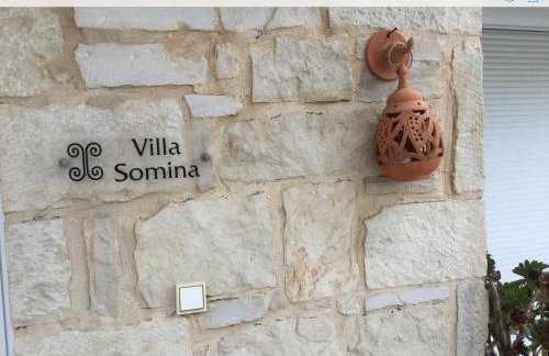 Villa Nopigia Somina - Foto 46