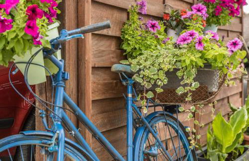 Ferienhof Sauter Meersburg - Foto 21