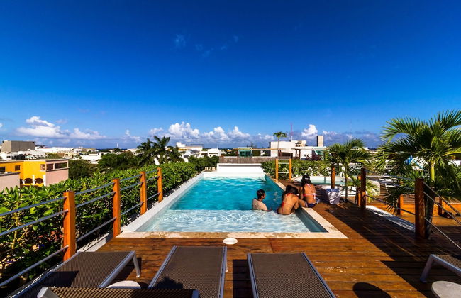 La Papaya Plus 303 by Vimex - Foto 14