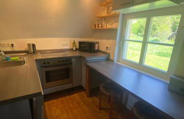 gemütliche rustikale Wohnung mit Kamin und optionalem Whirlpool - Foto 34