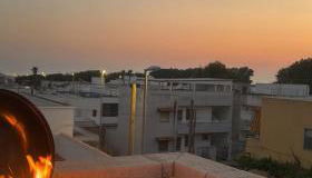 GAYA MARINA - Foto 2