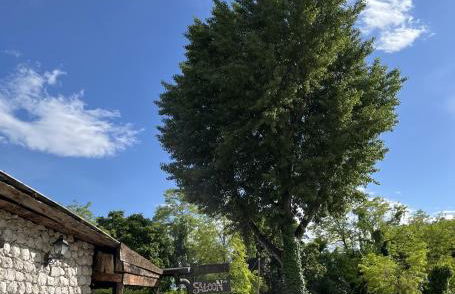 Agriturismo al Ranch - Foto 40