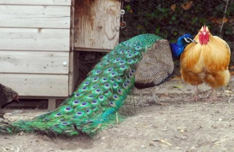 2 Bed in Whitwell oc-o33499 - Foto 21