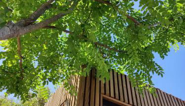 La Cabane de Lili Prune - Foto 5, Garden