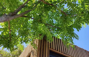 La Cabane de Lili Prune - Foto 5