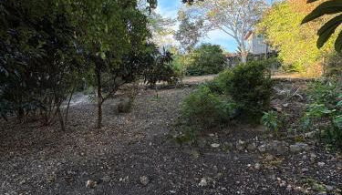 Casa de roça - Foto 5