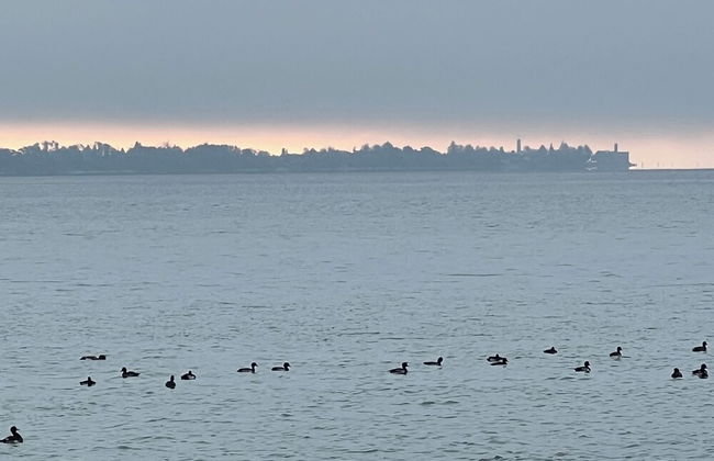 Commune88 EAST - Foto 73