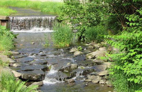 FeWo Harz Haennig 2 - Foto 40