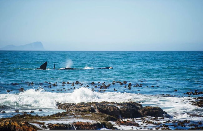 Charming Coastal Townhouse at The Majestic - Foto 24