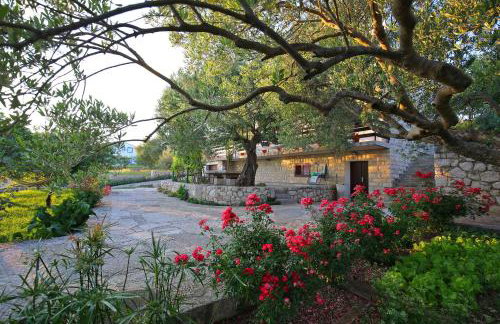 Apartman Baredine - Photo 54