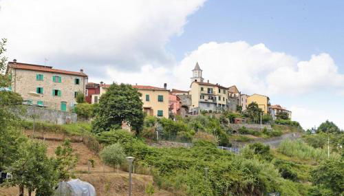 AGRIFOGLIO - Palazzo Ravaschieri - Foto 2