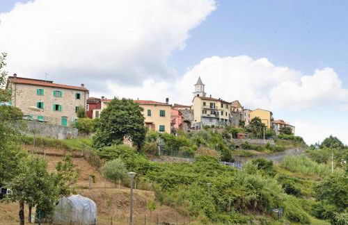 AGRIFOGLIO - Palazzo Ravaschieri - Foto 2