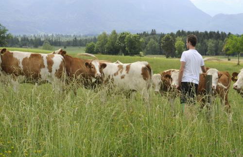 Seeleitenhof - Foto 16