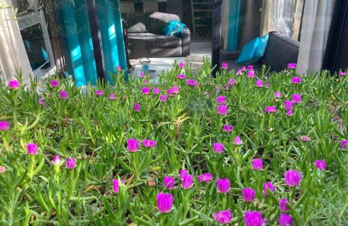 AzuRoMarin - Foto 39