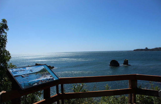 Alerce Costero National Park Day Trip - Photo 8