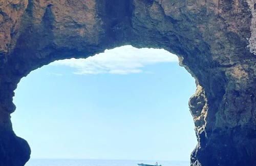 Casa de Celebrar a Vida - Foto 54