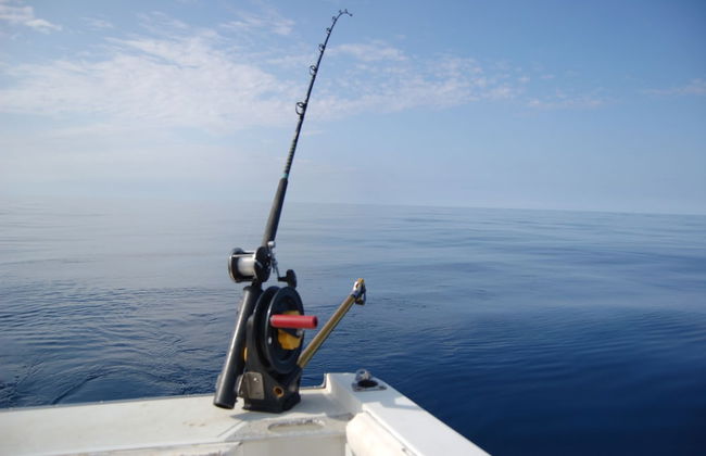 Gorgonia Apartments - Foto 35