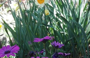 Naturaleza, Confort y Magnificas vistas a Sierra de Gata TR-CC-00490 - Foto 37