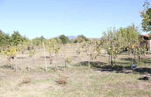 Holiday house with a swimming pool Cepic, Central Istria - Sredisnja Istra - 7404 - Foto 20