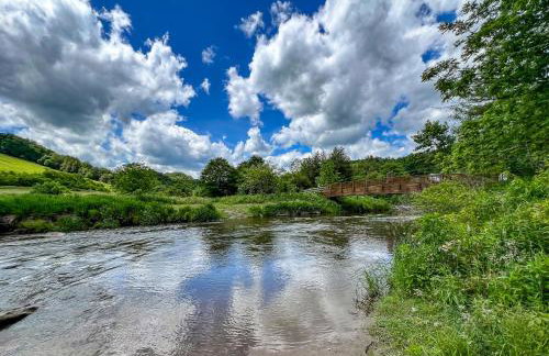 Bear Necessities - Photo 24