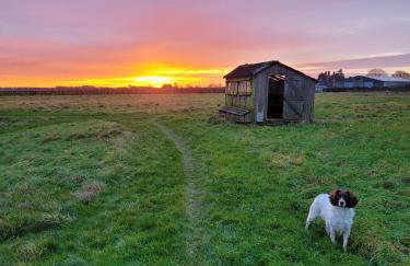 Walnut Cottage - Foto 10