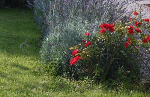 Villa La Corte - Foto 30