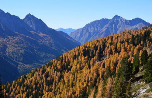 Leitenhof - Photo 10