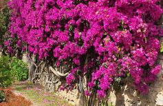 Cosy Tavira Holidays - Foto 52