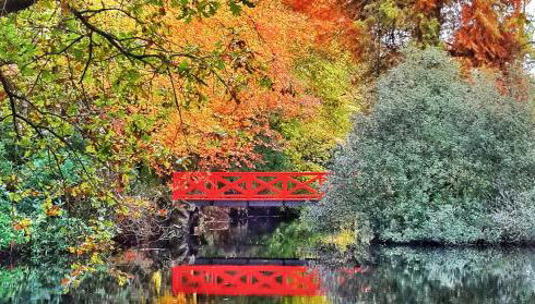 L'Orangerie - Foto 3