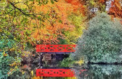 L'Orangerie - Foto 3