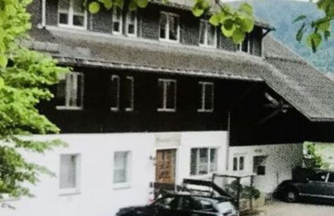 Meierhof Menzenschwand - Foto 10