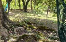 Casa em Chácara próximo ao Pico Paraná e Represa Capivari Toca do Tatu - Foto 10