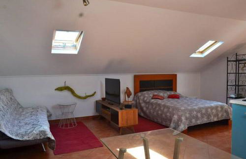 Lazy Lizard Studio - Foto 45