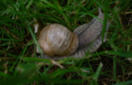 Seniorengerechte Ferienwohnung in Großalmerode - Foto 47