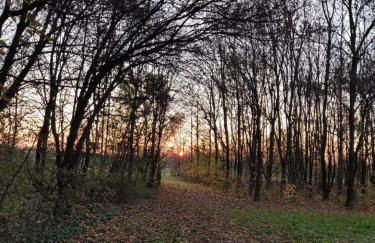 Agriturismo Cantarana - Foto 8