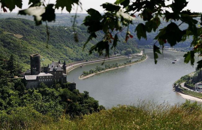 Family Stay in Libin Woods - Photo 32