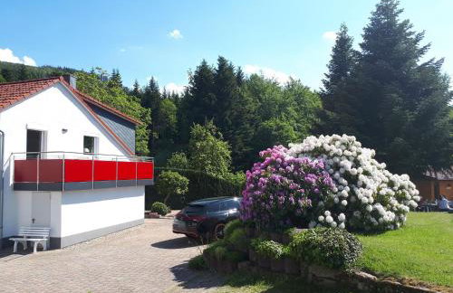 Auszeit Am Wildkatzenpfad - Foto 11