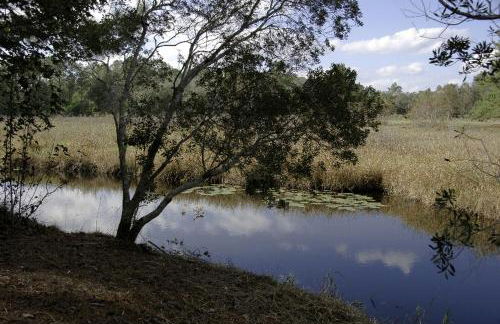 Forested Wood Cabin near Ocala National Forest in Central Florida - Foto 6