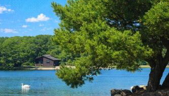 Swanmere lodge, Lakeside view Pinelake Carnforth - Foto 3